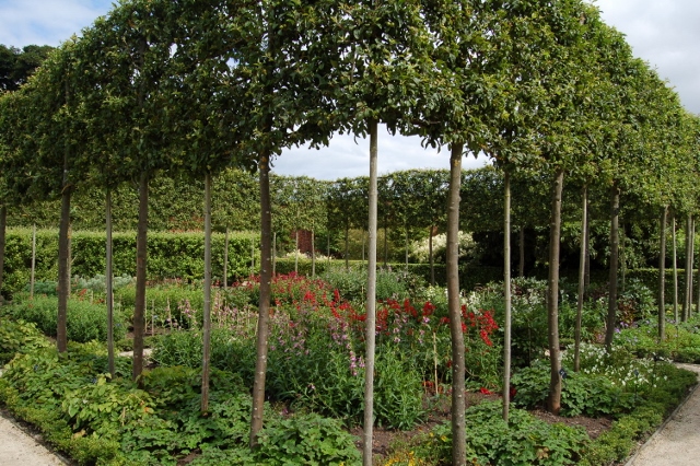ogród w Alnwick, Northumberland